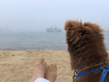 Low section of person by sea against clear sky