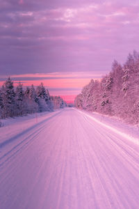 Snow covered road amidst trees against sky at sunset