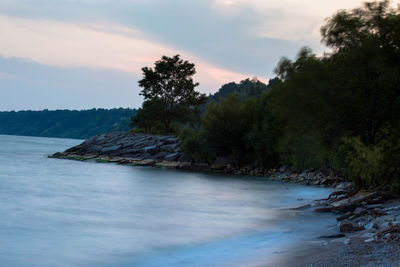 Scenic view of river amidst trees against sky