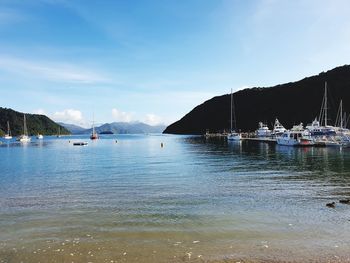 Sailboats moored in sea against sky