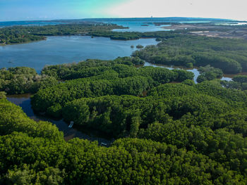 High angle view of trees and sea against sky