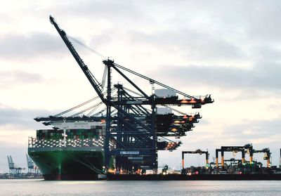 Cranes at harbor