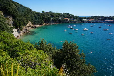 High angle view of sea by trees against blue sky