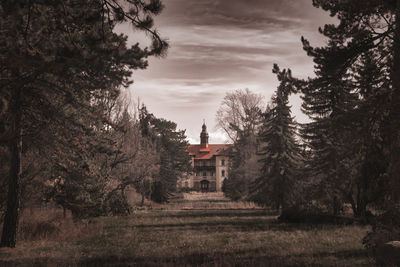 Trees and houses on field against sky