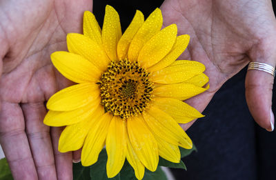 yellow