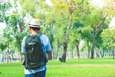 Rear view of man standing by trees in park