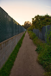 Footpath amidst trees against sky