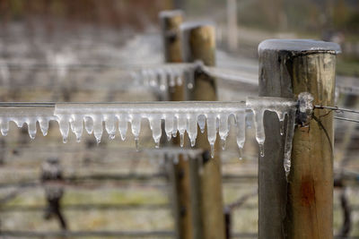 Close-up of water drops on wooden post