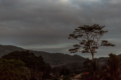 Scenic view of landscape against dramatic sky