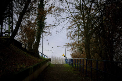 Bare trees in park