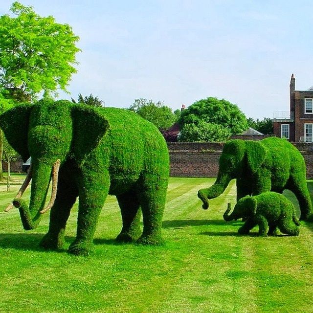 green color, grass, animal themes, tree, growth, field, clear sky, nature, plant, in a row, outdoors, sunlight, day, green, no people, sculpture, sky, park - man made space, formal garden, beauty in nature