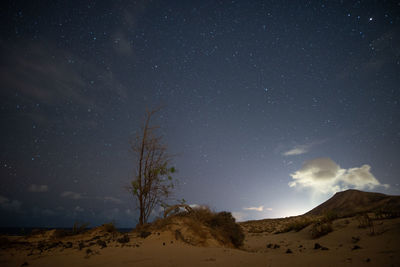 Low angle view of sky at night