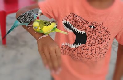 Close-up of hand holding stuffed toy