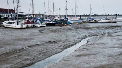 Boats moored in sea