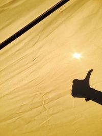 Close-up of silhouette hand on horse at sunset