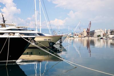 Sailboats moored in harbor