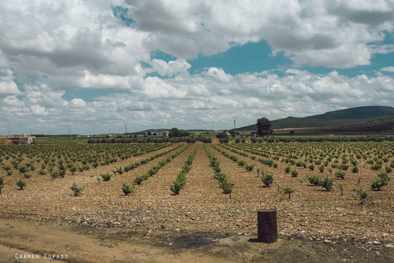 SCENIC VIEW OF LAND AGAINST SKY