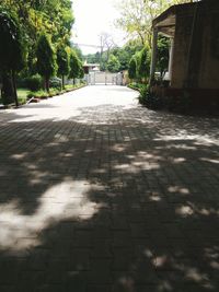 Surface level of footpath in park