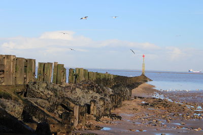 Seagulls flying over sea against sky