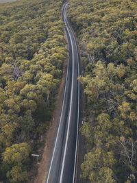 High angle view of highway amidst trees