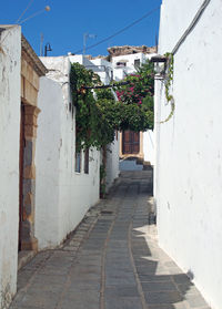  typical winding narrow alley in rhodes town with white houses and flowers against a blue summer sky