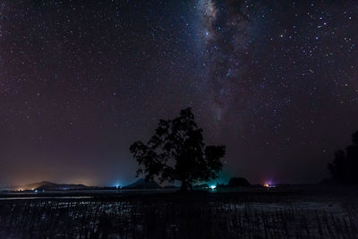 Scenic view of illuminated tree against sky at night