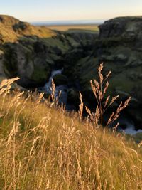 Scenic view of landscape against sky river grass gold sun sunny day rocks mountains  holiday travel