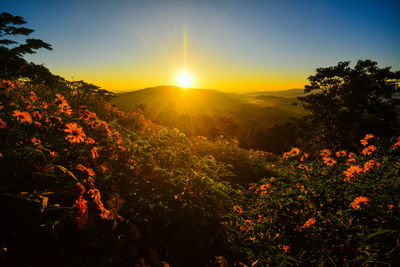Scenic view of landscape against sky at sunset