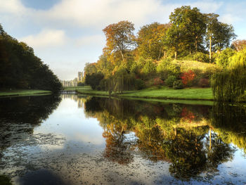 Reflection of trees in lake against sky