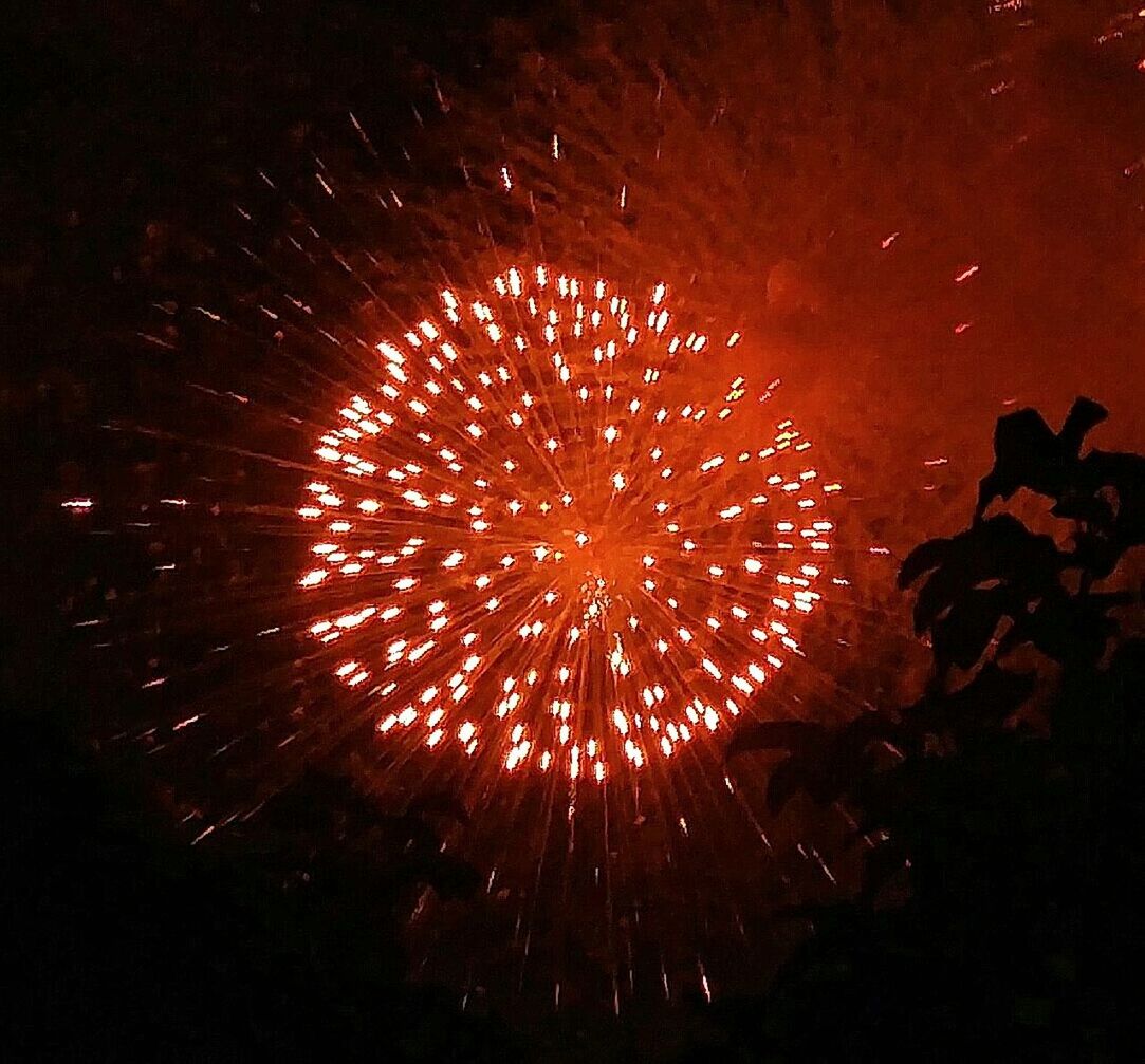 LOW ANGLE VIEW OF FIREWORK DISPLAY AT NIGHT