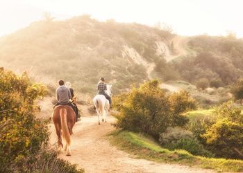 Rear view of people riding horses on pathway against mountain