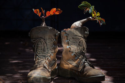 Close-up of shoes