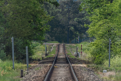 Railroad tracks amidst trees in forest