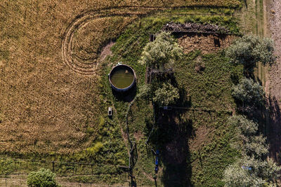 Aerial view of field on sunny day