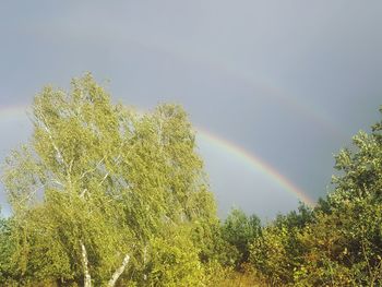 Low angle view of rainbow against sky