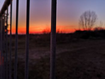 Silhouette trees on field against sky during sunset