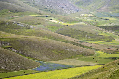 Scenic view of rural landscape