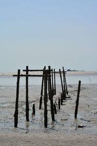 Wooden posts on beach against clear sky