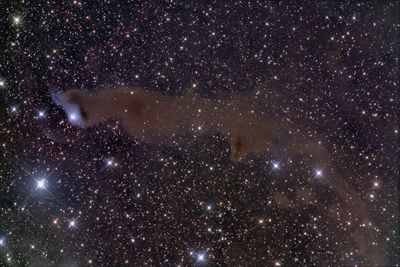 Low angle view of star field against star field