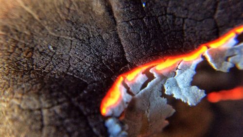 Close-up of campfire