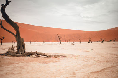 Scenic view of desert against cloudy sky