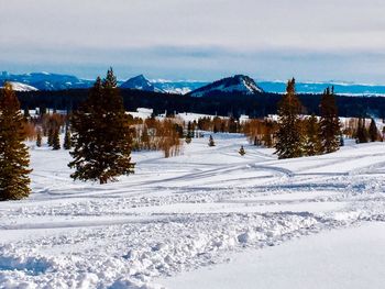 Snow covered landscape against sky