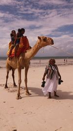 View of people riding horse on sand at beach