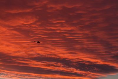 Low angle view of silhouette bird flying against dramatic sky