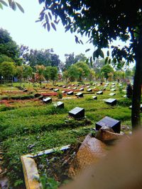Scenic view of cemetery against sky