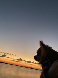View of a dog looking at sunset