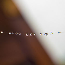 Close-up of water drops