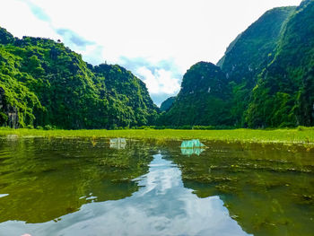 Scenic view of lake by trees against sky