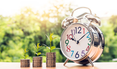 Close-up of clock on potted plant against trees