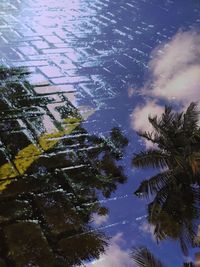 Trees on landscape against sky